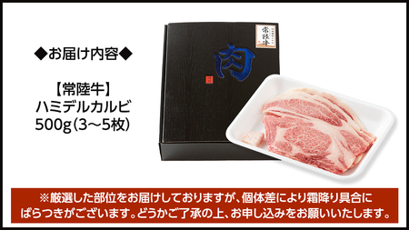 【 常陸牛 】A5 等級 ハミデルカルビ 500g (3～5枚)  (茨城県共通返礼品)