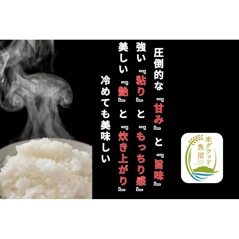 【令和8年産 新米】【定期便】新潟県南魚沼産　新之助　2kg×6か月　大粒でツヤがあるこれまでにないお米