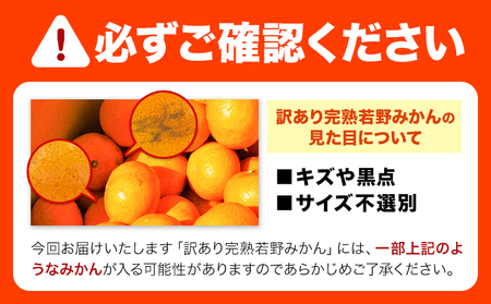 みかん 訳あり 若野みかん10kg