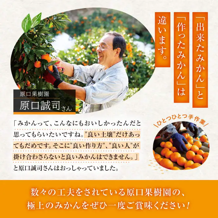 原口みかん 5kg みかん CCW001