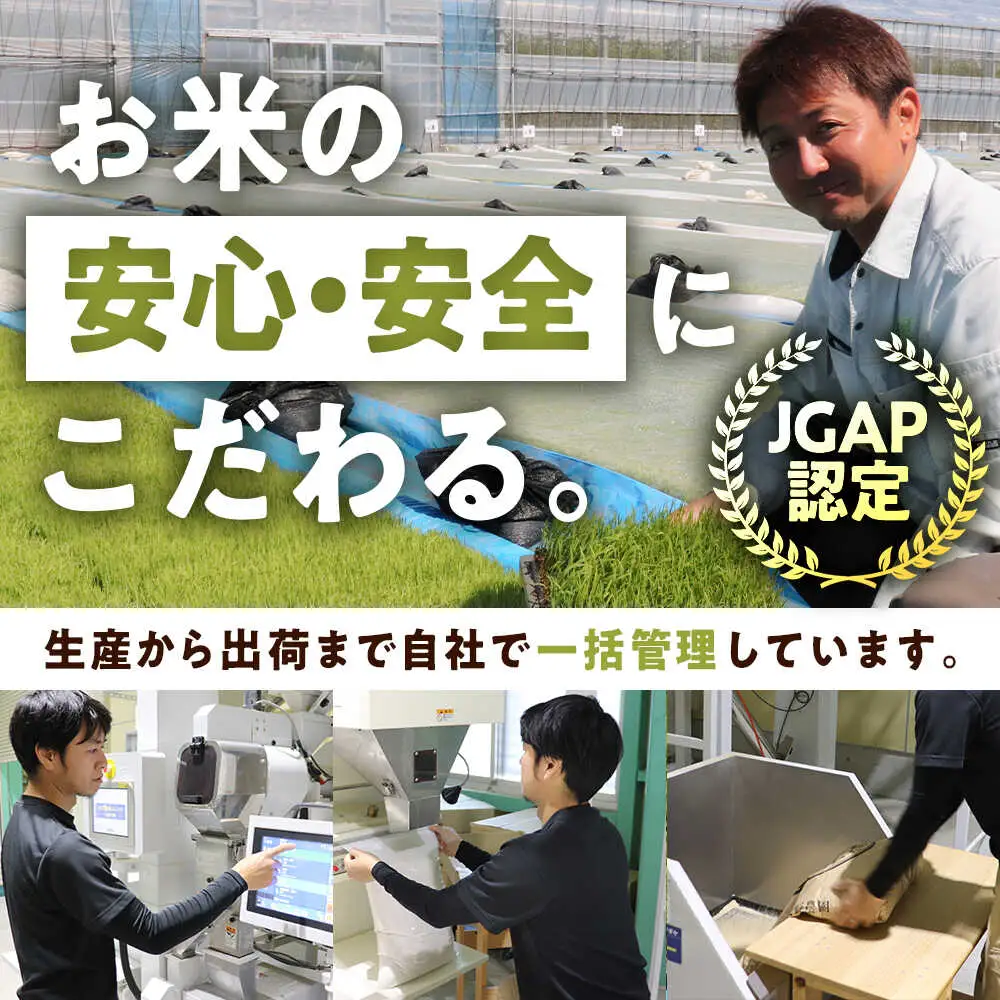 米【令和7年産】【訳あり】【数量限定】 家計応援米 10kg×1袋 / 小浜市 / 若狭の恵 [BFAG027]