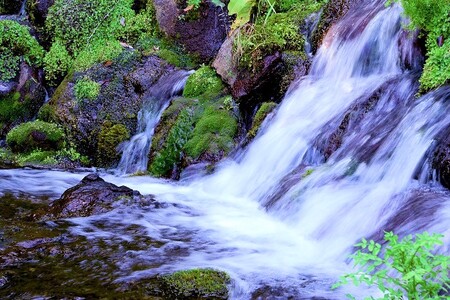 水 細野の天然水 555ml×24本 水