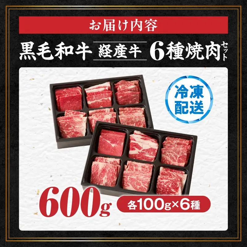 ≪訳あり≫黒毛和牛(経産牛)6種焼肉セット(合計600g) 肉 牛 牛肉 おかず 国産_T030-1206