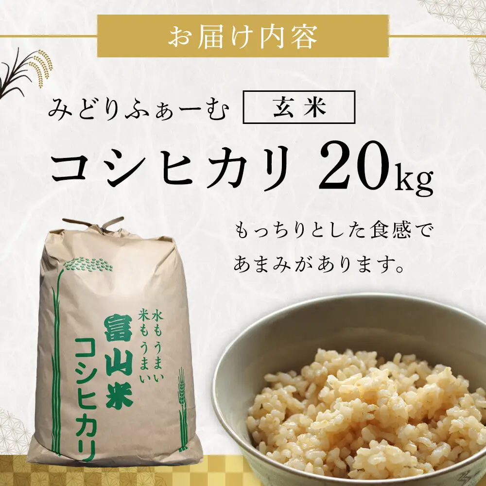 【令和8年産】みどりふぁーむのコシヒカリ 玄米 20kg