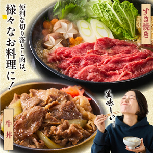 【4等級以上】黒毛和牛 なかにしプレミアム切り落とし 約800g 西ノ原牧場（牛肉 切り落とし） 