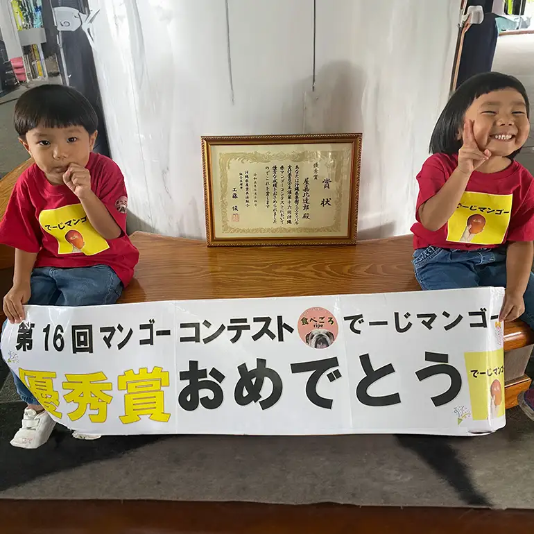 【2026年発送】【令和5年度優秀賞受賞】でーじマンゴーアップルマンゴー1kg (優品) 26-4
