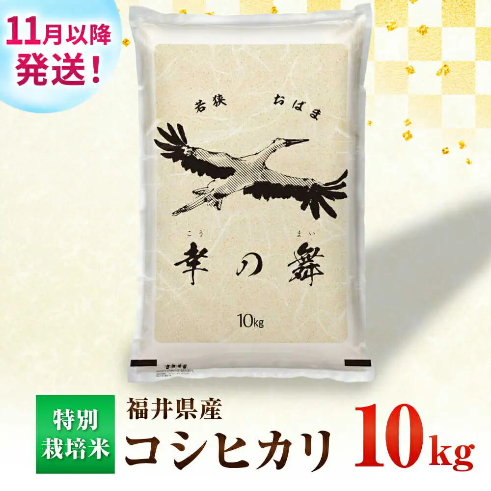 【 先行予約 /11月以降発送】 【令和8年産】 福井県産 コシヒカリ 10kg お米 白米 小浜市 / 今富の宝 [BFCI005]