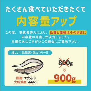 あなご開き 2～3パック(計900g) あなご 冷凍 穴子 アナゴ 白焼き 蒲焼 お吸い物 天ぷら 煮穴子 和食 海産物 味噌汁 ごはん 夕飯 おかず 大船渡 三陸 岩手県 国産
