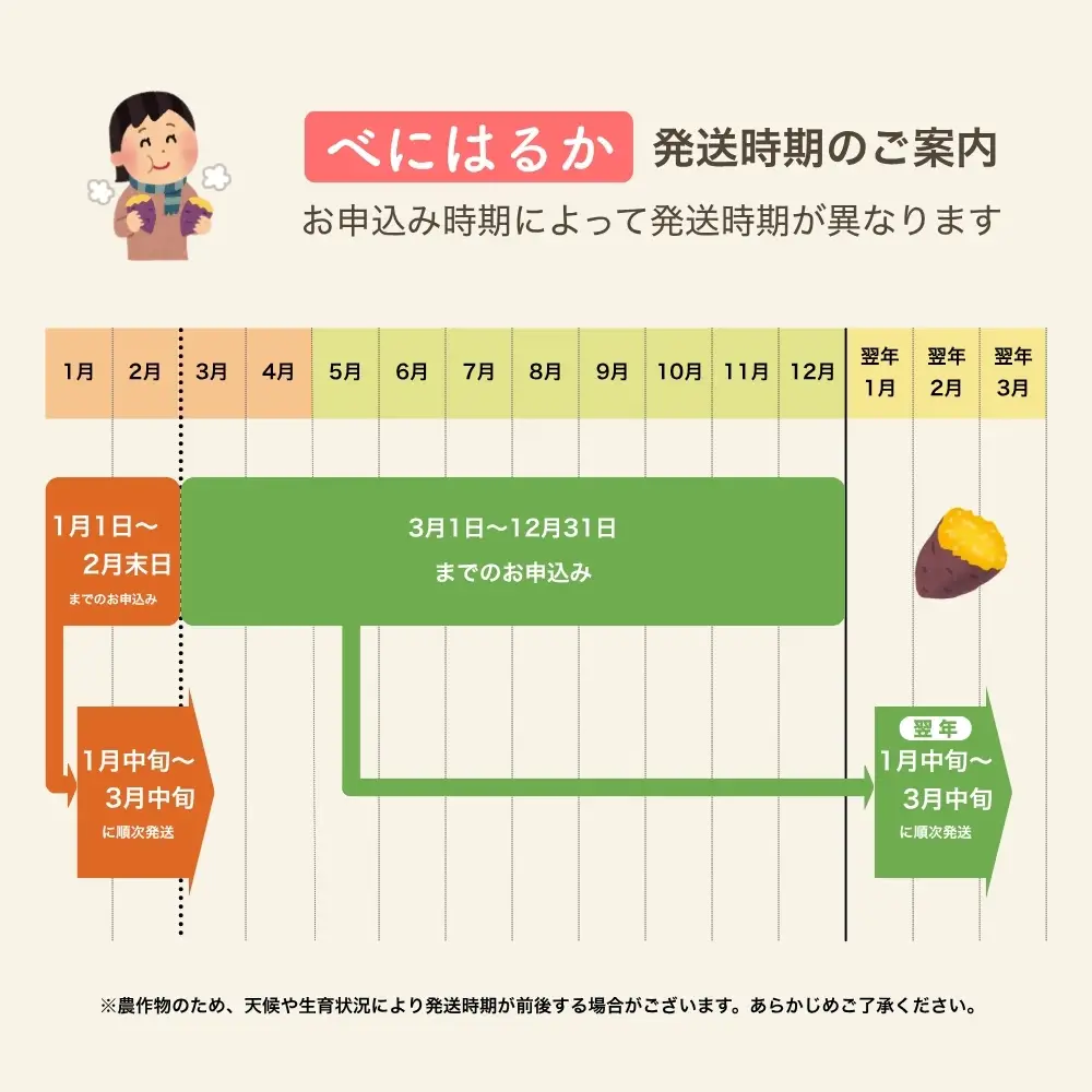 神崎町産 べにはるか さつまいも 10kg 【訳あり 無選別】(3月～12月受付分は翌年1月中旬～3月中旬発送)｜さつま芋 焼き芋 焼きいも イモ 芋 紅はるか 訳アリ しっとり 濃厚 蜜 スイートポテト にも ファームおせげん[016-a010-2026]