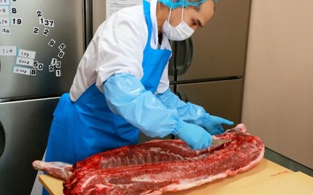 【7営業日以内発送】ぼたんつみれ鍋セット ／ 猪 イノシシ いのしし 猪肉 ジビエ スライス ミンチ 長崎県 長崎市