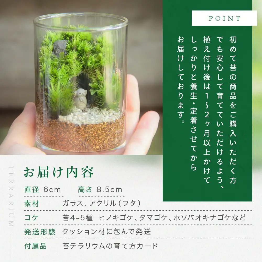 《苔テラリウム・コケリウム》鎌倉のやぐら地蔵＿シリンダーS