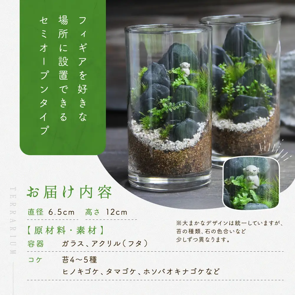 《苔テラリウム・コケリウム》地蔵S_山水図　シリンダーM