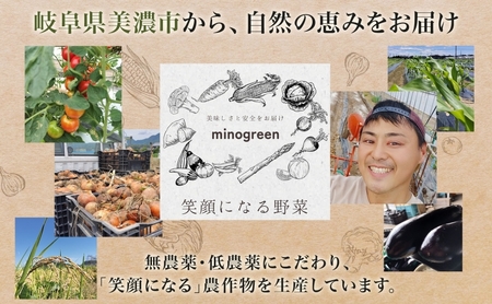 はつしも 精米 低農薬 岐阜県産 はつしも【10kg】【先行予約】