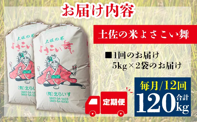 【コシヒカリ】高知県産 よさこい舞 12か月 10kg 合計120kg【米 コシヒカリ 国産 米 美味しい 米 伝統 米 よさこい舞 米】香南市 Wkr-0098