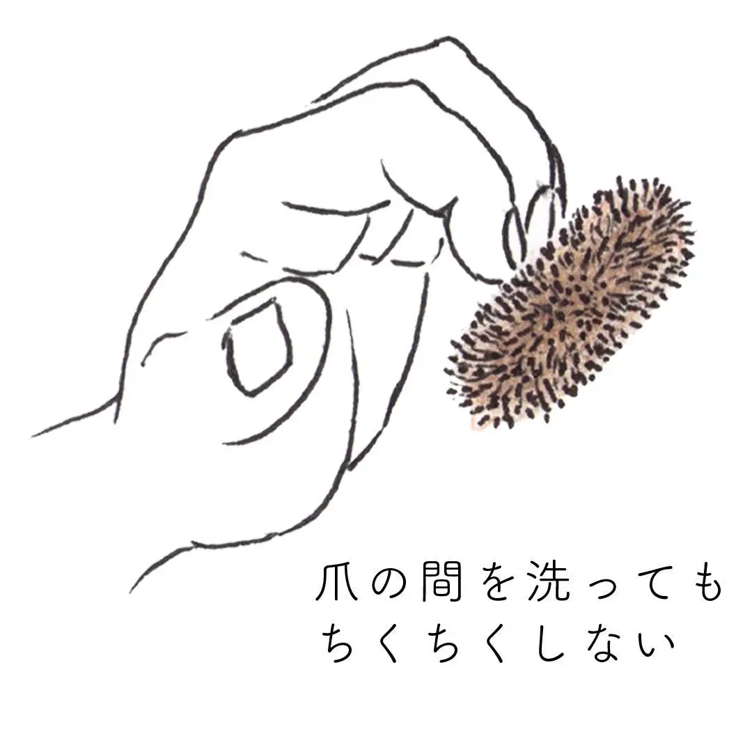 高田耕造商店 しゅろのやさしいたわし まる 小【2個セット】