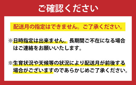 3回定期便 海の幸定期便 5万円 [DYZ021] 海鮮丼