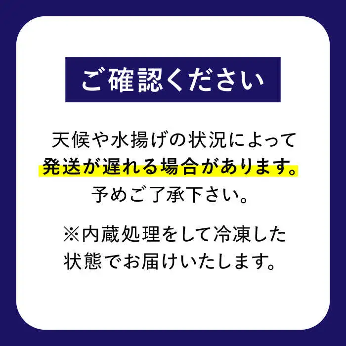 【着日指定】島原半島 はしり蛸(中たこ) 3杯　約2400g / タコ　新鮮　海鮮物　刺し身　揚げ物　酢物　キャンプ　BBQ / 南島原市 / 深江町漁業協同組合[SBO005]