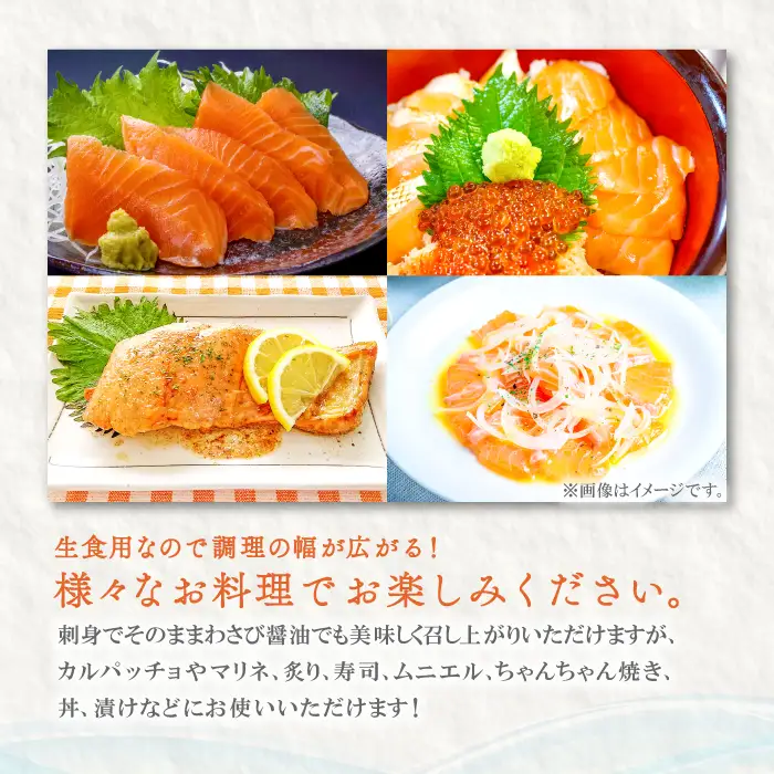 さんべサーモン 400g【サーモン 400g フィレ サーモントラウト ニジマス サーモン さけ シャケ しゃけ sake 生食用 刺身 お刺身 刺し身 魚介類 海鮮 冷凍 真空パック】