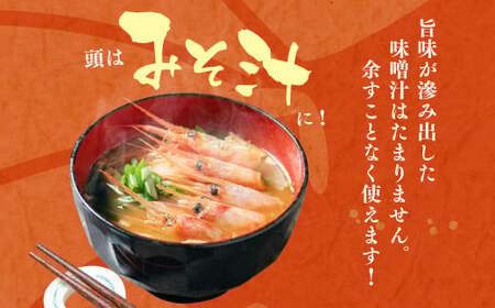 【11月頃発送予定】「南蛮エビ（甘エビ）」650g 新鮮！県北寝屋漁港直送！ 1043005 海老 えび 冷凍