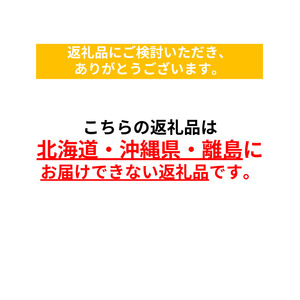 【産地直送・新鮮】朝採れおまかせ旬の高原野菜 7種セット (出荷時期 : 2026年6月～12月／北海道・沖縄県・離島は配送不可) 　|  信州 栽培期間中 無農薬  産直 季節 旬  岩渕なないろ農園 旬彩