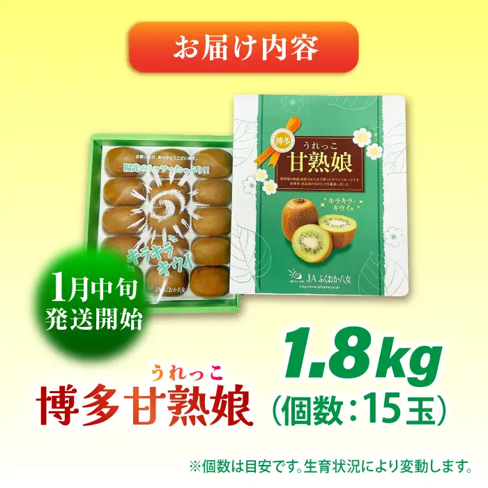 【先行予約 2027年1月中旬より発送】博多甘熟娘(うれっこ) ヘイワードキウイ 約1.8kg（15玉）/ 果物[AFAB076]