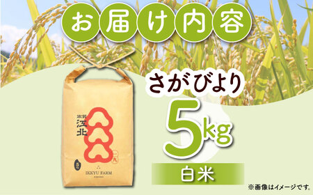令和7年産 さがびより 白米 5kg（一等米） [HDC001]白米 精米 白米 白米 米 白米 佐賀 白米