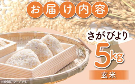 令和7年産 さがびより 玄米 5kg（一等米） [HDC002] 玄米 米 玄米 米 玄米 玄米 玄米 玄米
