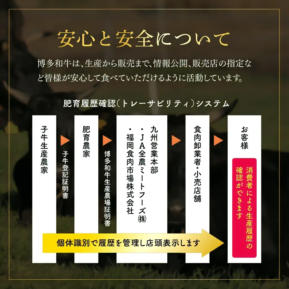 博多和牛ヒレステーキ150g　(150g×1枚) Y54