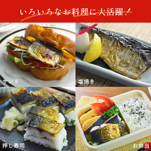 訳あり 無塩 サバ フィレ 3.0kg (30枚前後)  さば 鯖 切り身 宮城県 石巻市