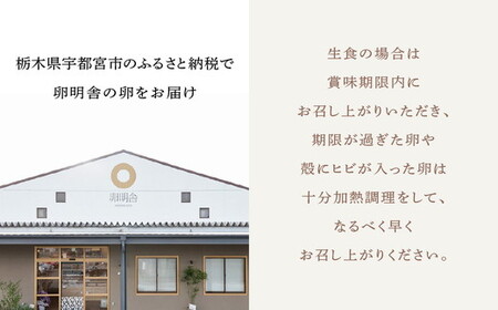 【9ケ月定期便】磨宝卵GOLD/贈答箱 30個入｜ たまご 卵 鶏卵 定期便 栃木県 宇都宮市 ※離島への配送不可