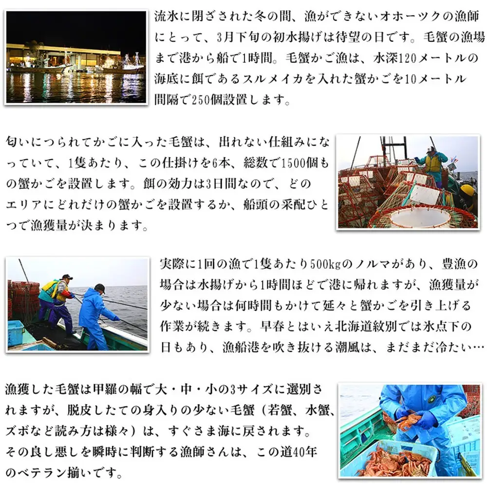 20-269 【甲羅組】北海道産　ボイル毛蟹