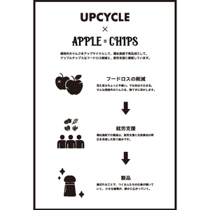  APPLECHIPS(リンゴチップス)×5個セット [BW002]