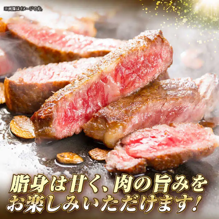 【全2回定期便】長崎和牛 サーロイン ステーキ 350g 《壱岐市》【KRAZY MEAT】 A5 A4 冷凍 和牛 肉 牛肉 BBQ[JER116] 九州