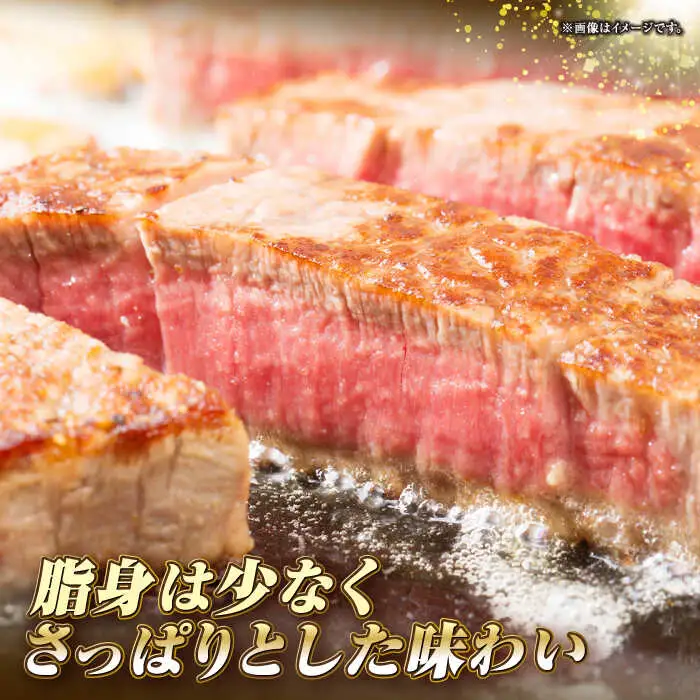 【全12回定期便】長崎和牛 ヒレ ステーキ 200g×1 《壱岐市》【KRAZY MEAT】 A5 A4 冷凍 和牛 肉 牛肉 BBQ[JER127] 九州