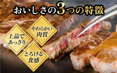 【全3回定期便】壱岐牛100％ プレミアムハンバーグ 150g×4 《壱岐市》【KRAZY MEAT】 A5 A4 冷凍 和牛 肉 牛肉 BBQ ハンバーグ 贈答品[JER157] 九州