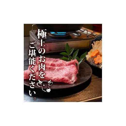 【 しゃぶしゃぶ 】 しゃぶしゃぶ黒毛和牛12ヶ月