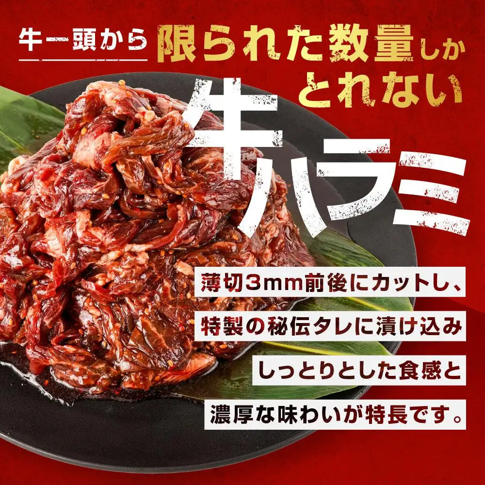 【ふるなびWEEK対象】リピーター続出!!訳あり 秘伝タレ漬け牛ハラミ(サガリ)薄切 500g×4袋 合計2kg | ハラミ 北海道 一人暮らし  _04287 ●
