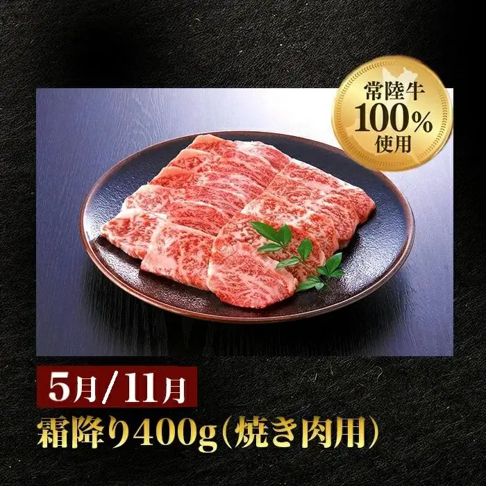 【定期便】【全6回】常陸牛お楽しみ定期便（6ヶ月連続でお届け） 528