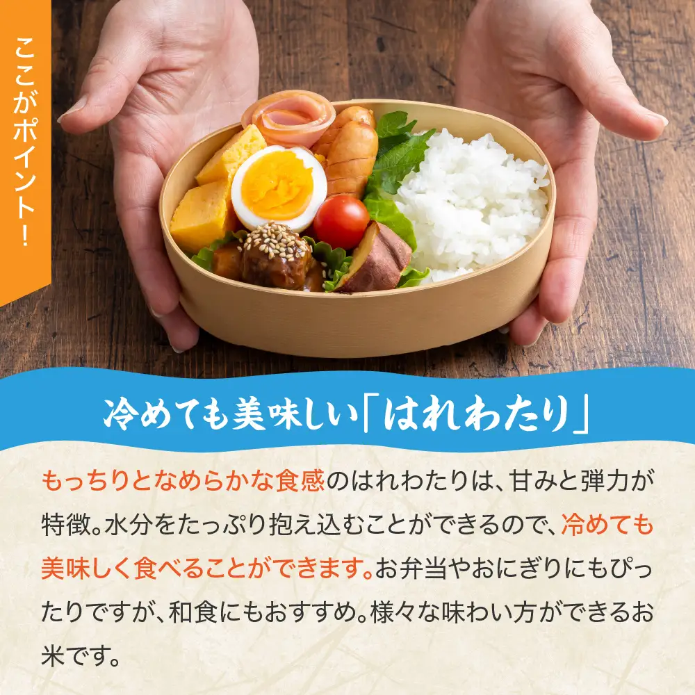 青天の霹靂 と はれわたり 計 10kg セット 【先行受付】【令和8年産米】 10kg (各5kg×2) 2品種食べ比べセット 青森県産 米 特別栽培米 【KonRiceFarmのお米 晴天の霹靂 晴れ渡り 晴れわたり harewatari 五所川原 】