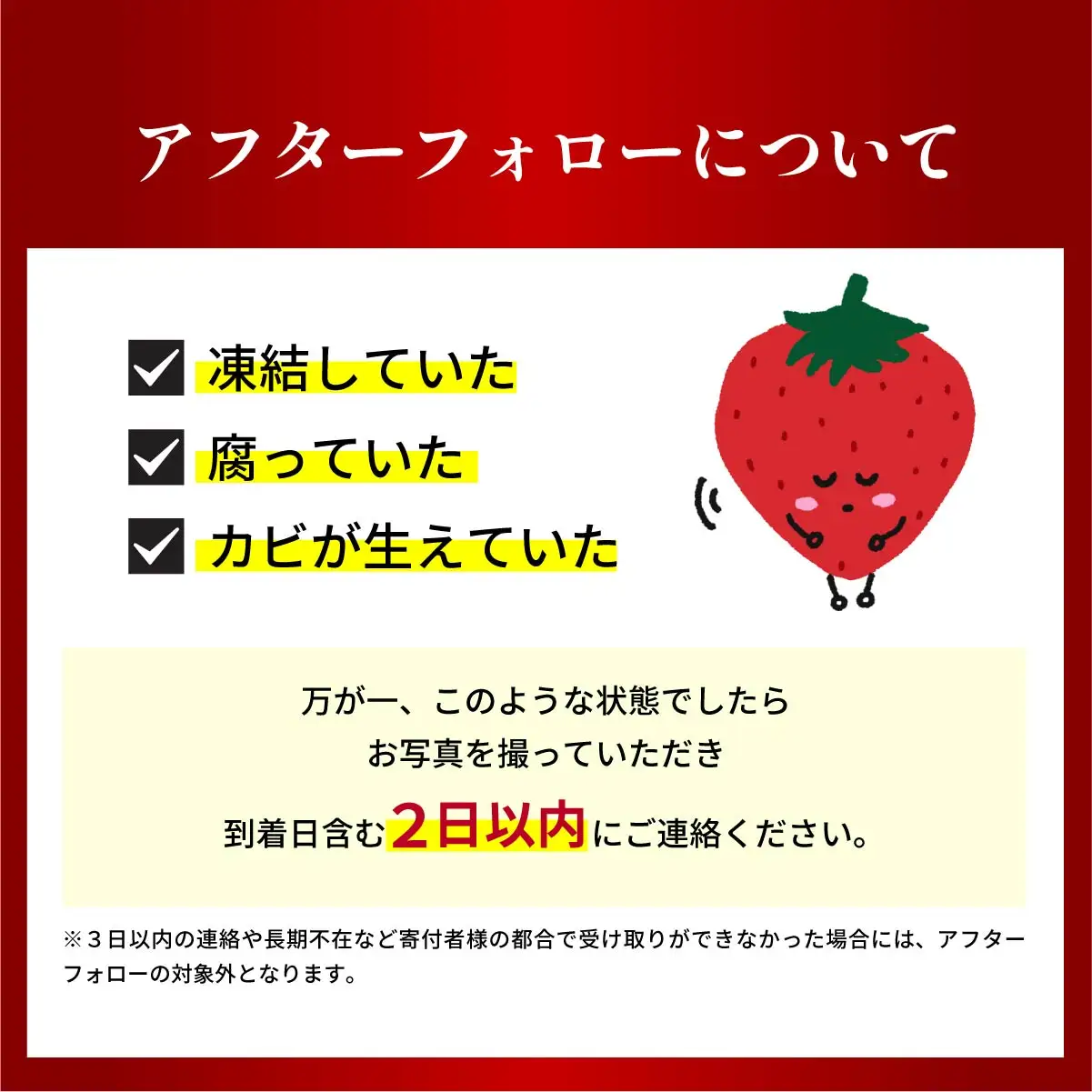 いちご 2品種食べ比べセット 計800g 農林水産大臣賞受賞 いちご
