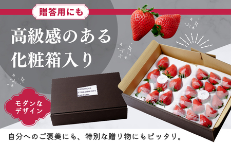 いちご 大粒完熟いちご「やよいひめ」800g