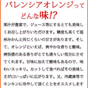 秀品 希少な国産バレンシアオレンジ 5kg