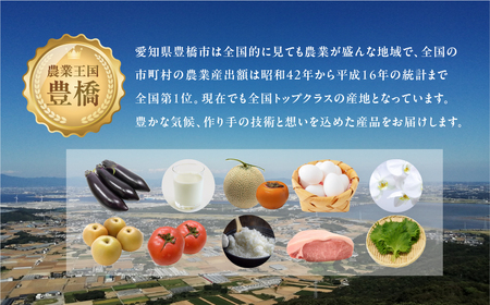 梨 3kg 一流青果店厳選 豊橋 梨