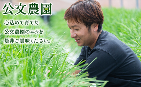 【生産量日本一】高知県香南市産 ニラ 1kg（100g×10束）【にら 韮 生 野菜 やさい ニラ 香味野菜 特産品 ニラ 産地直送 ニラ】 kk-0001