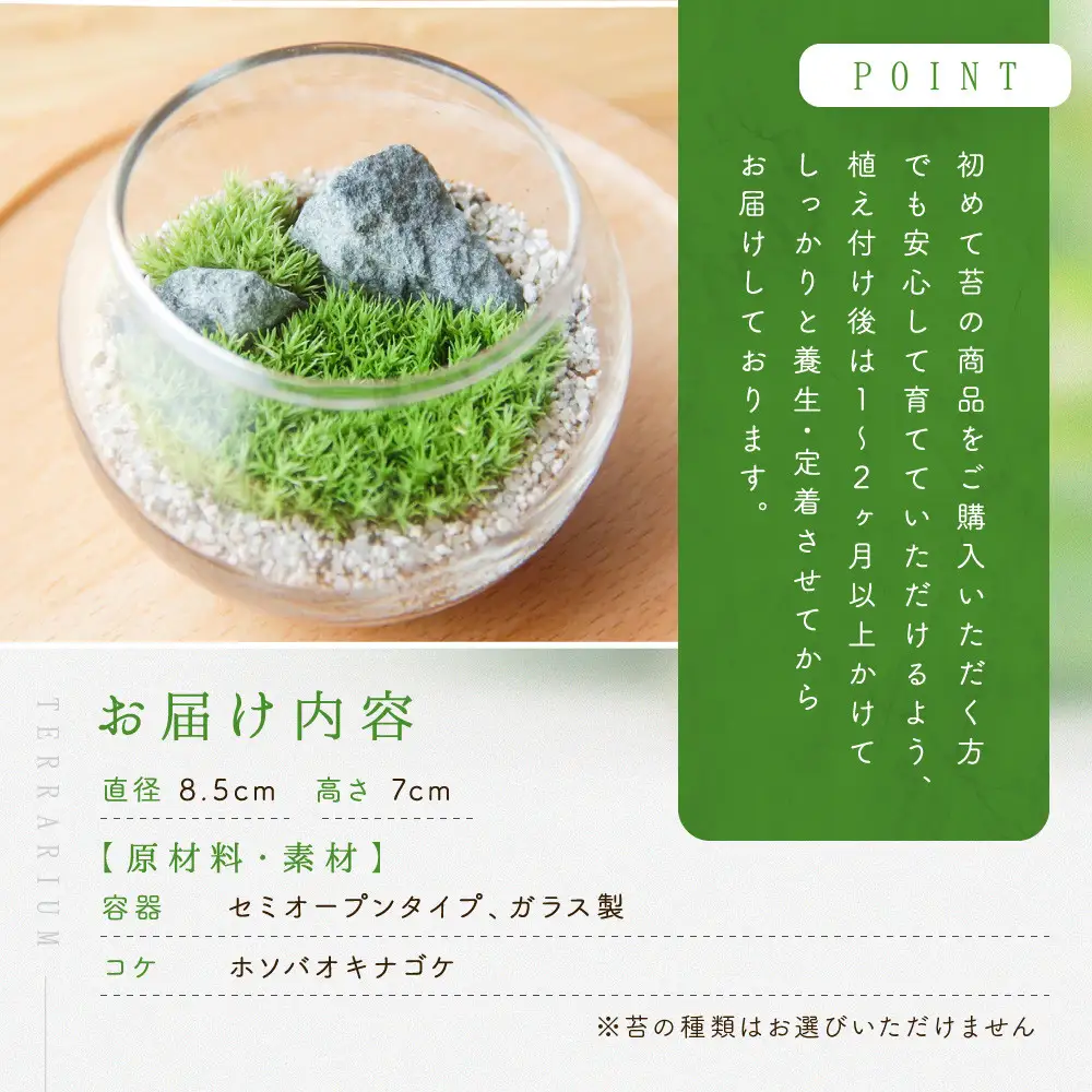《苔テラリウム・コケリウム》きつねと朱鳥居S_枯山水 ボウルM