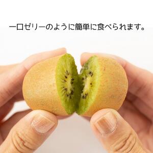 ＜先行受付　2026年発送＞さぬきキウイっこ　キウイフルーツ　約1.8kg