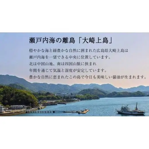 濃口醤油 1L × 2本 (計2L) 岡本醤油醸造場 木桶仕込み 二年熟成 天然醸造 しょうゆ
