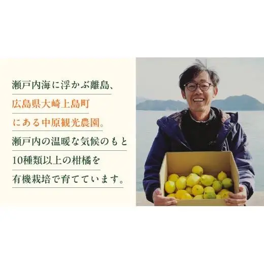 瀬戸内 オーガニック ブラッドオレンジ 1kg (8～10個程度)  【2027年2月下旬以降発送】