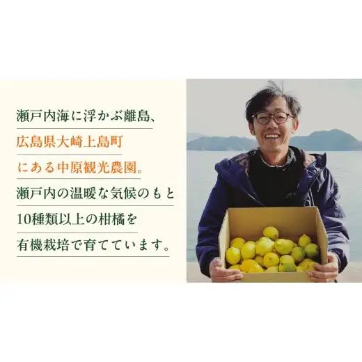 瀬戸内 オーガニック グリーンレモン 3kg【2026年10月以降発送】
