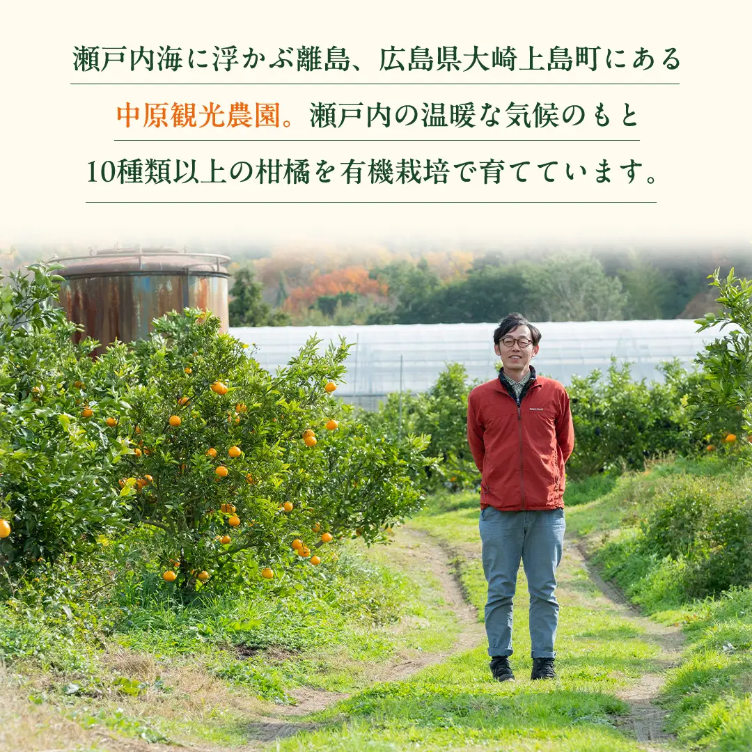オーガニック 瀬戸内みかん 3kg (30~40個程度)  【2026年10月中旬～1月発送】